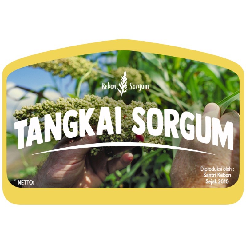 Tangkai sorgum / camilan alami hamster / snack hamster/ pakan hamster /sorgum spray/makanan burung /