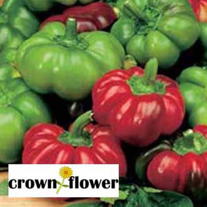 

Mantap!! Benih Cabai Paprika Mr.Fothergill'S (Sweet) Topepo Rosso F1 Juara