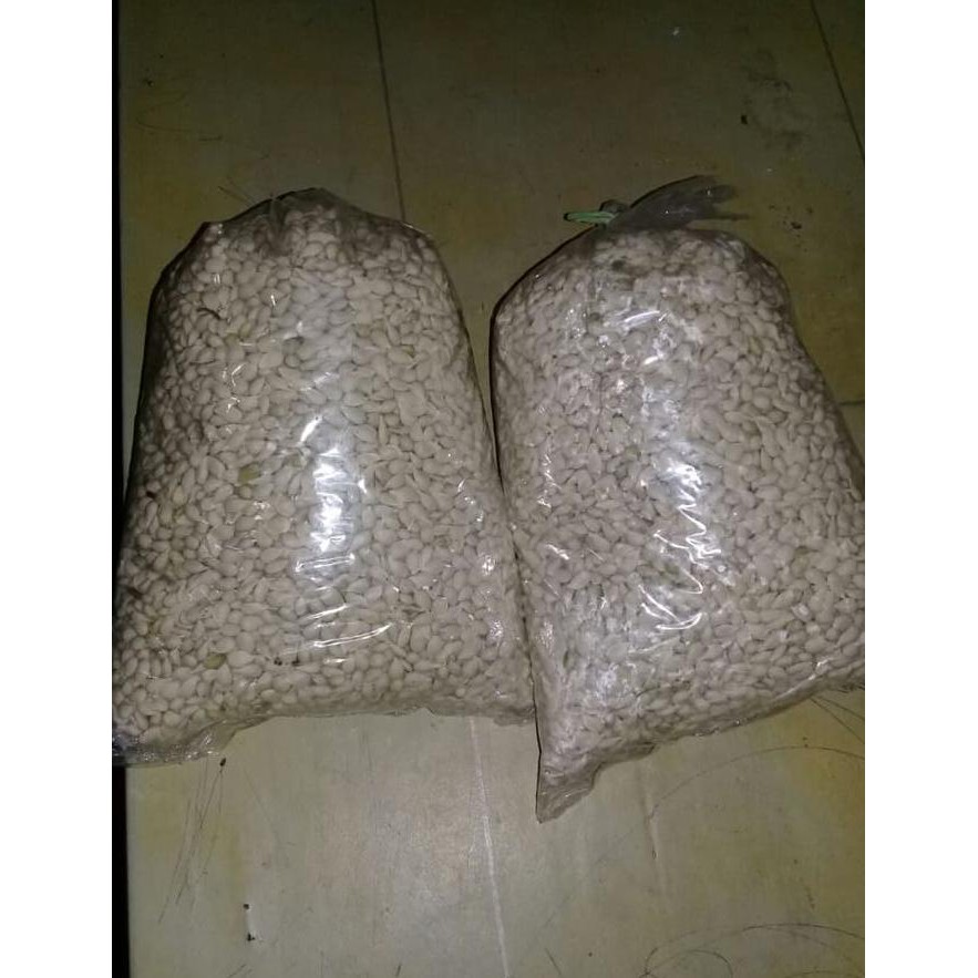 U* BENIH BIJI JERUK JC JAPANESE CITROEN @_$