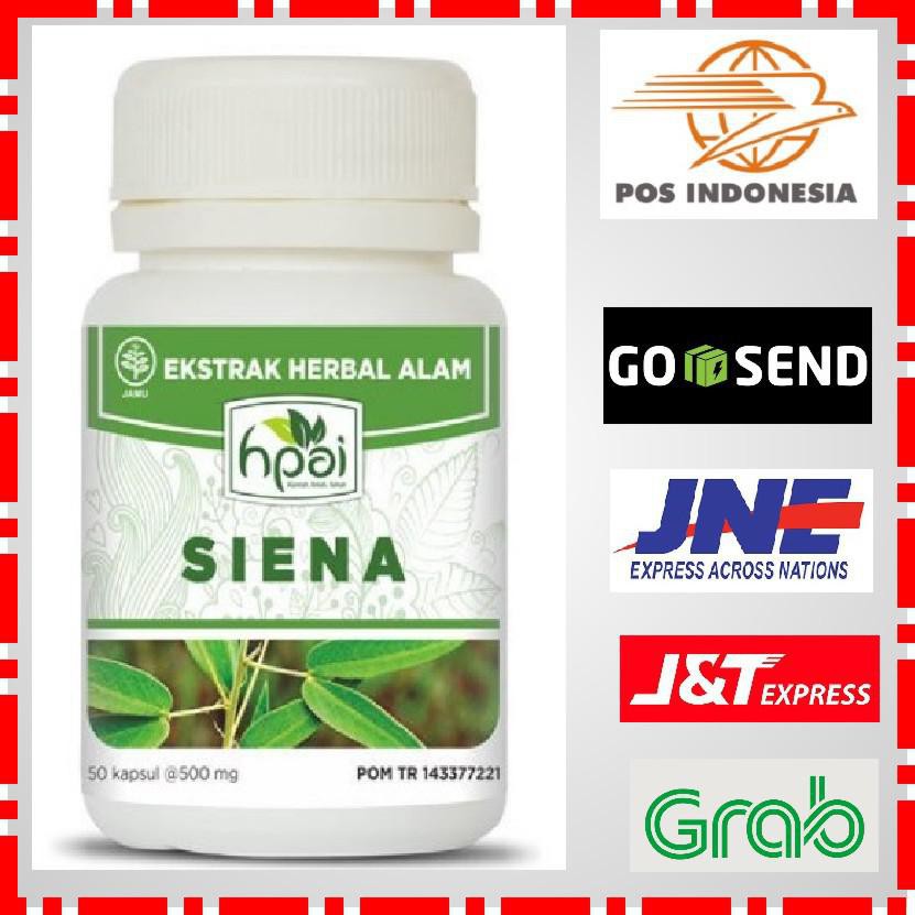 Terlaris Siena Hni Hpai Obat Herbal Sembelit Pencernaan Jati Cina