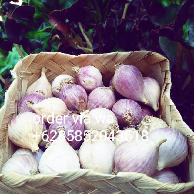 

Bawang putih tunggal lokal 250 gram