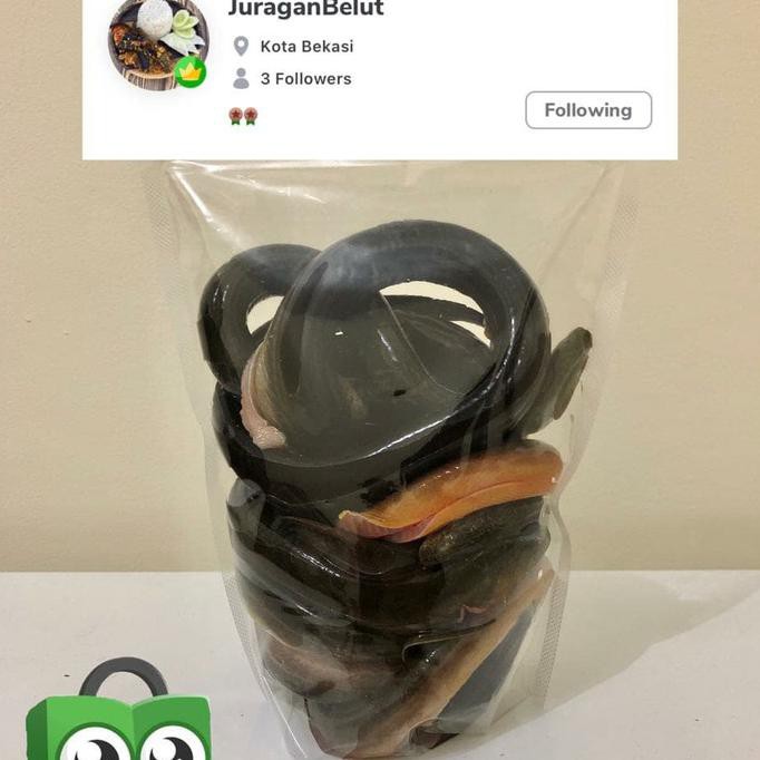

Belut Fresh Sudah Bersih Siap Olah