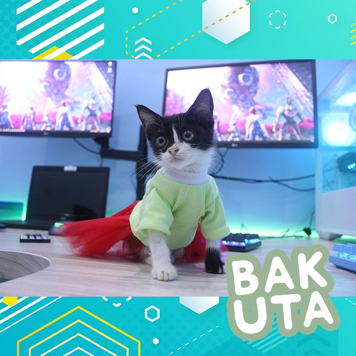 Dress tutu kelinci hijau terbaru baju kucing dan anjing / baju kucing murah size S-XL