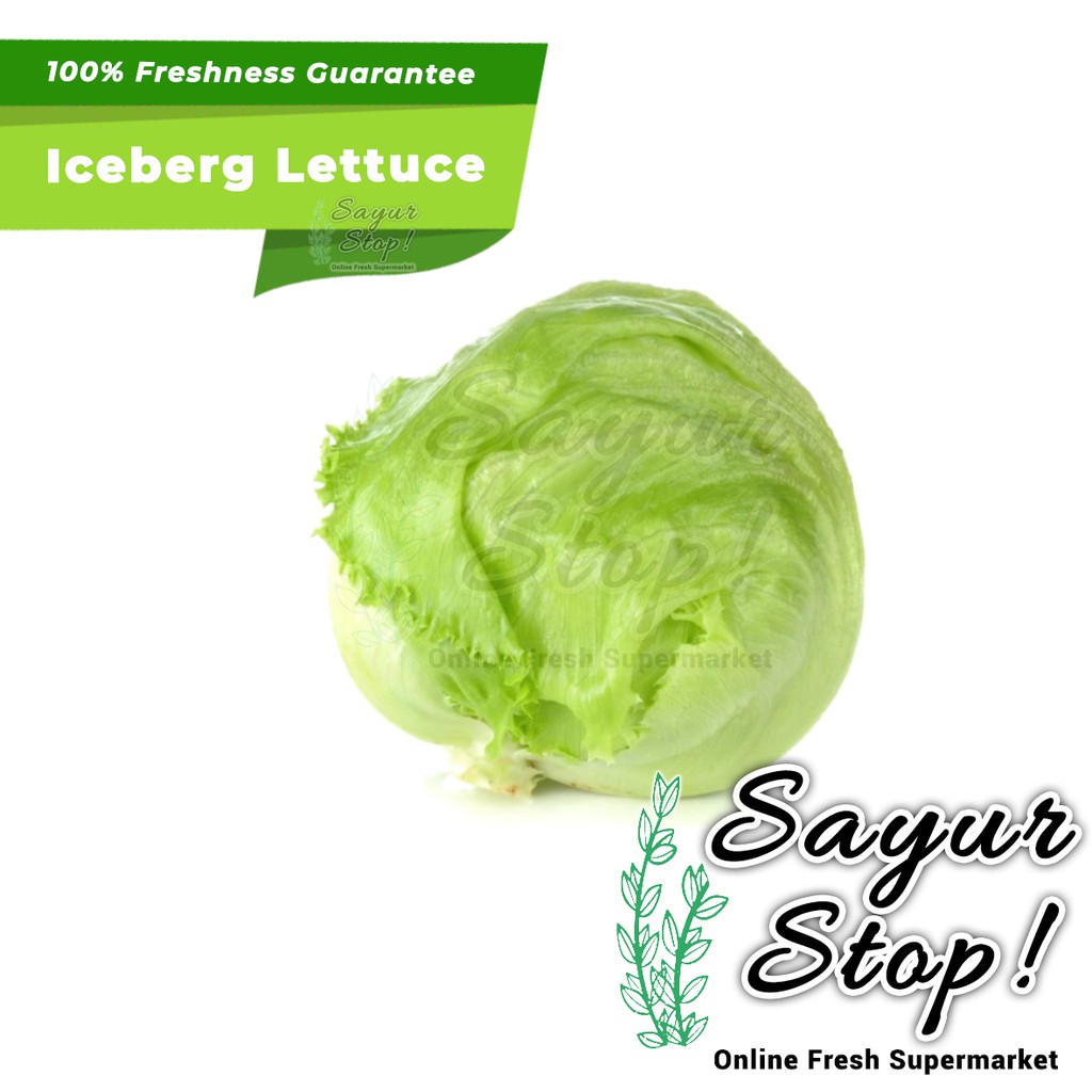 

Sayur Stop Iceberg Lettuce Head 1 pcs