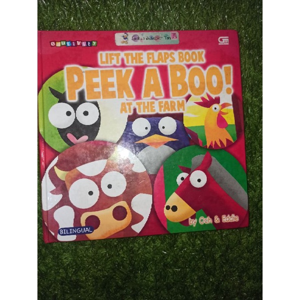 Buku cerita anak - Broadbook - LIFT FLAP Book - PEEK A BOO (preloved)