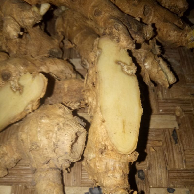 

temu putih segar rampah kunyit putih herbal kunyit putih bahan jamua 1kg