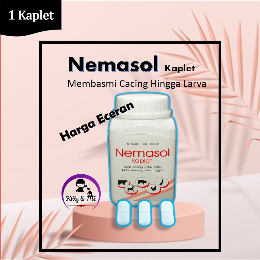 Nemasol Obat cacing Hewan Ternak Eceran Murah dan Ampuh
