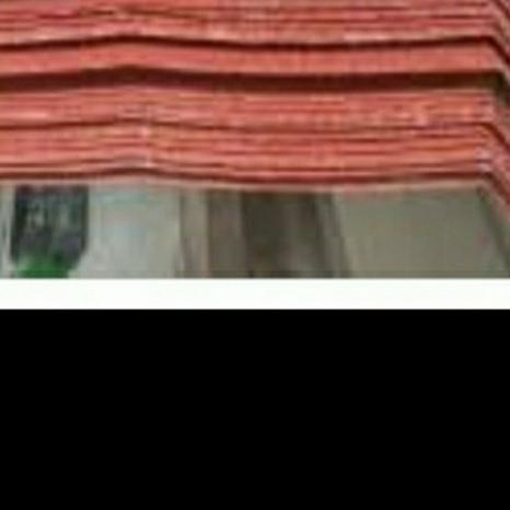 ✹ Nok Spandek Pasir warna Hitam dan Merah daerah Tambun Cibitung ♡