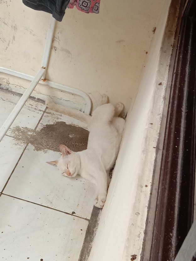 Storage Keranjang Multifungsi Desktop Box Organizer Nj55