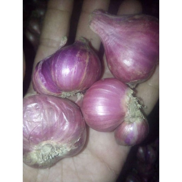 

REALPICT BAWANG MERAH LOKAL MURAH 1/4kg