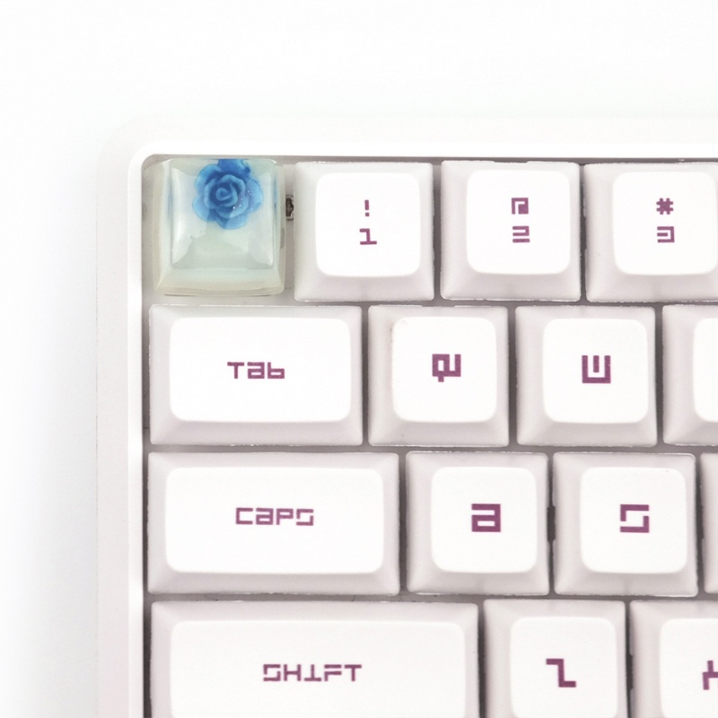 Btsg Keyboard Mekanik SA R4 Profil Backlit Luminous Untuk Key Cap 4warna Untuk