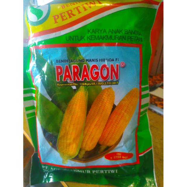 Benih jagung manis PARAGON