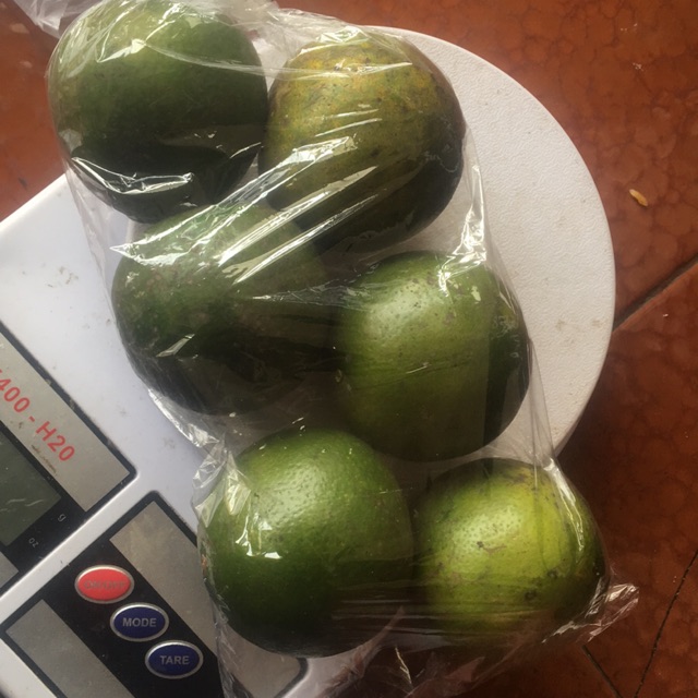 

Jeruk peras 500gram