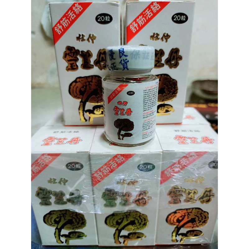 LIN CHEE TAN REMATIK PEGAL LINU