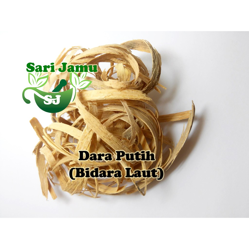 

Jamu Herbal Tradisional Bidara Laut Menyegarkan Kulit Wajah 250gr