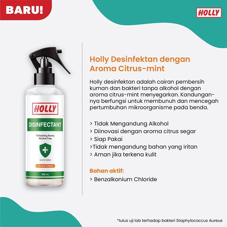 Holly Disinfektan Spray 250 ml