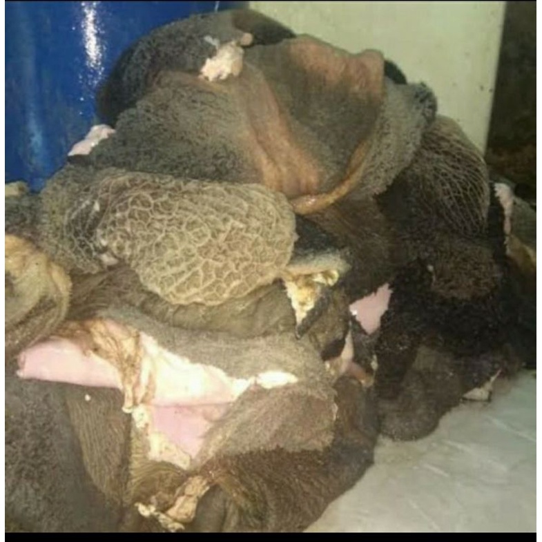 

babat hitam sapi fress1kg