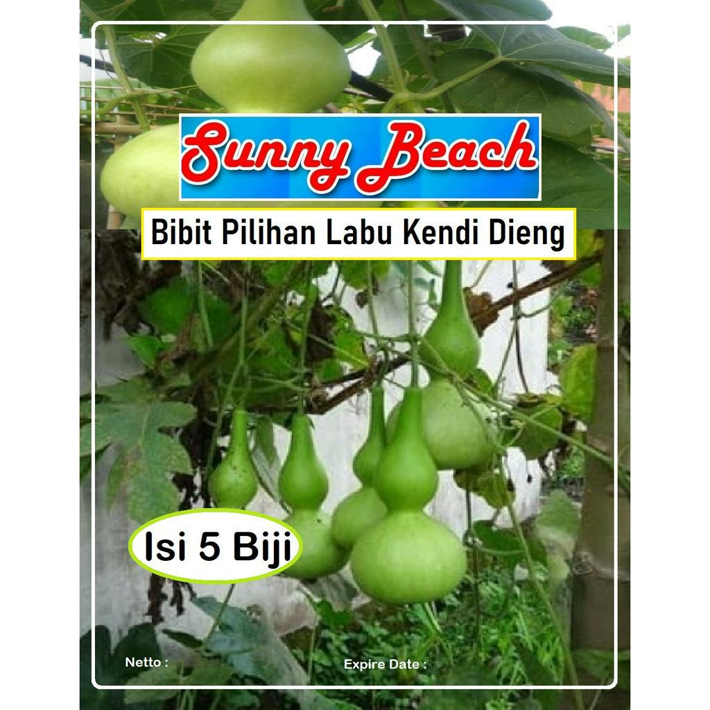 Bibit Pilihan Labu Kendi Dieng|Biji Benih Labu Kendi Dieng|Labu Botol