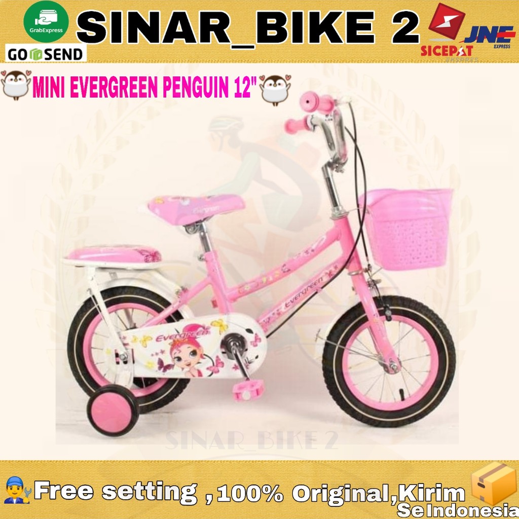 Sepeda Anak Perempuan Mini EVERGREEN Penguin 12 Inch Usia 2-4Th (Ekspedisi)