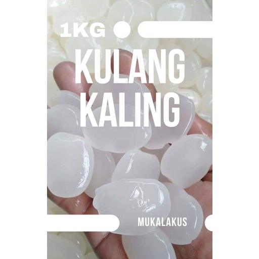 

BUAH SEGAR KOLANG KALING SUPER KULANG KALING MENTAH SEGAR 1KG