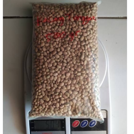 

Kacang Tunggak Tolo Otok Dadap Landes Lokal isi 500gram 1Kg panenan baru