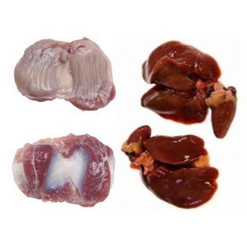 

Ayam - Ati ampla Segar