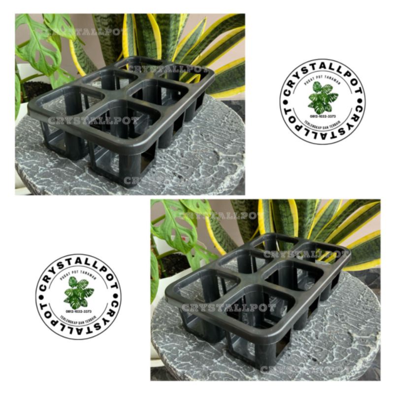 Tray pot nkt kotak 7CM (tanpa pot) | nkt kotak 7CM | tray semai bibit