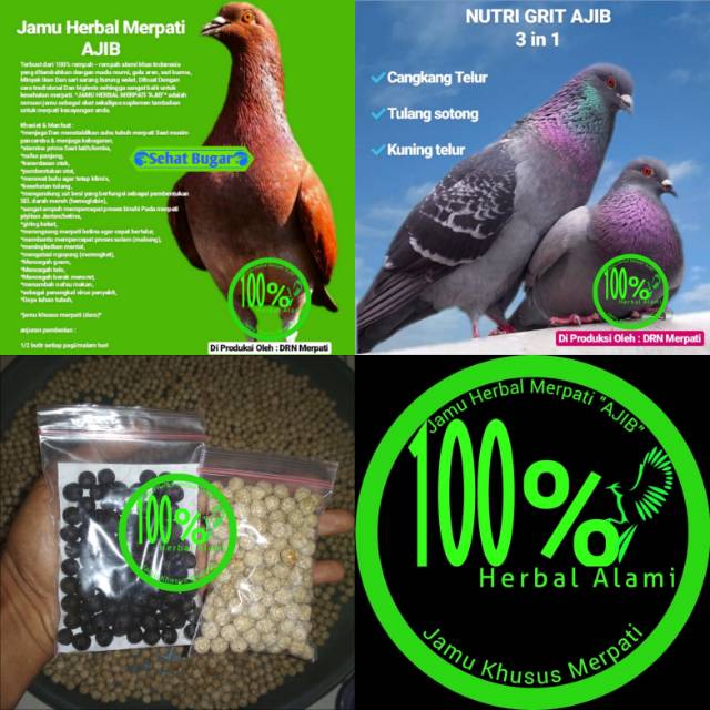 

Paket Jamu Herbal Merpati ajib plus nutri grit 3 in 1