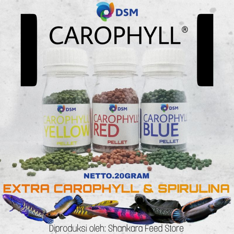 Pelet Premium Blue Red Yellow DSM Carophyll ++