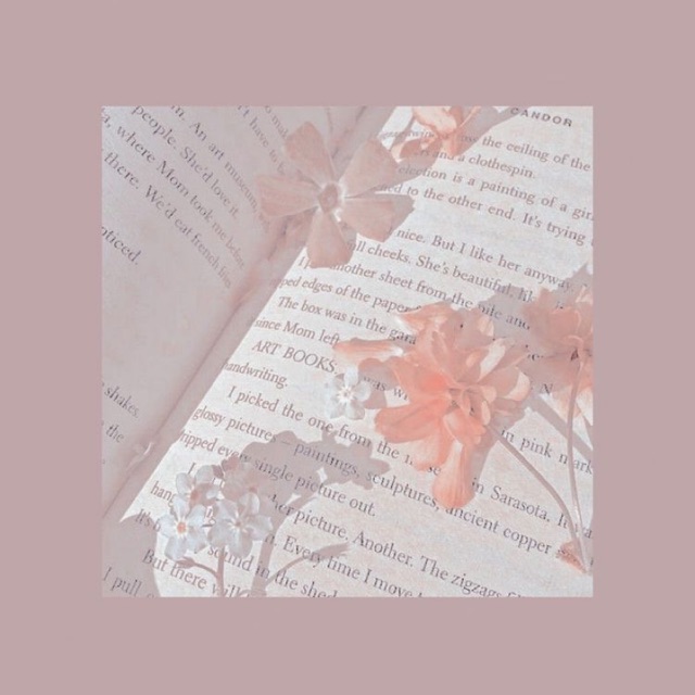 Aesthetic Wallpaper Shopee Indonesia