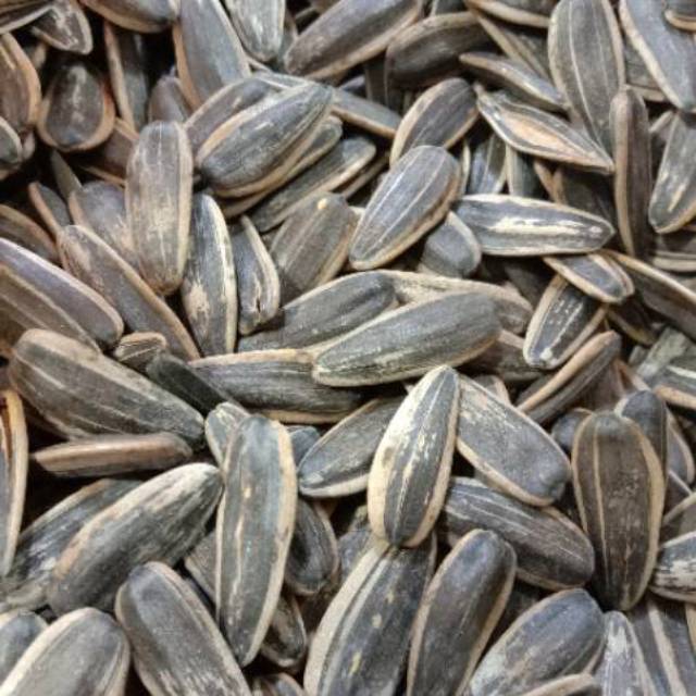 

Kuaci Matahari Original.250g