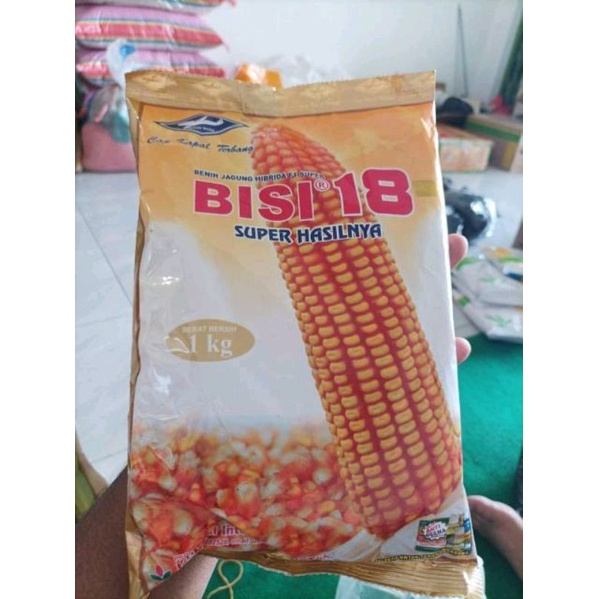 Benih Bibit Jagung Bisi 18 jagung hybrida