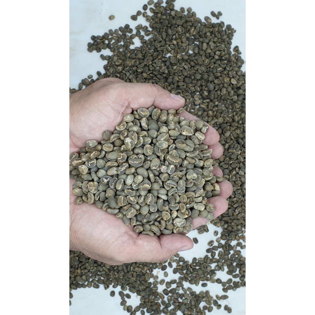 Kopi Arabika Green Bean Mandheling/Mandailing 1kg Grade 1 Mattin Coffee