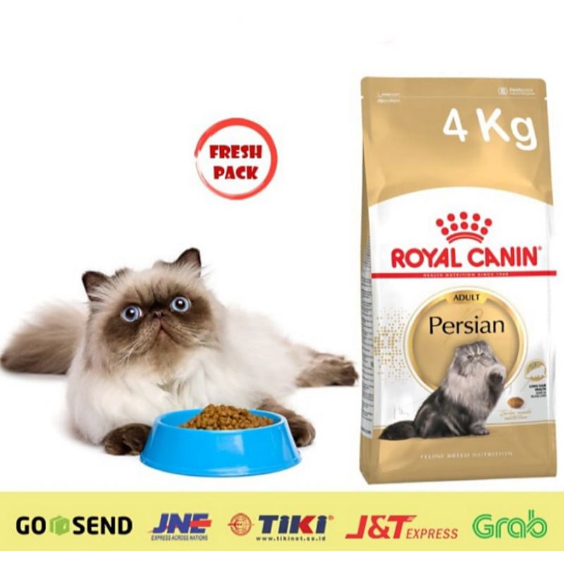 Royal Canin Persian Adult 4 kg | Rc Persian 4kg | Persian Adult