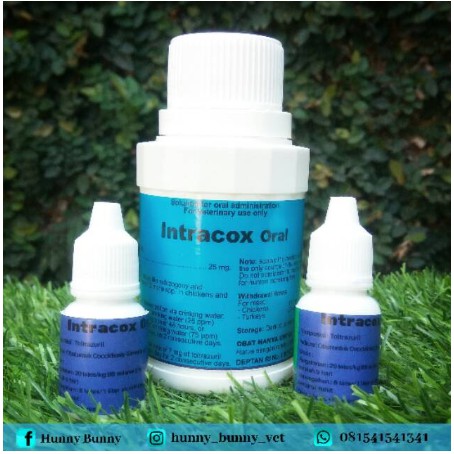 Intracox Oral obat coccidia
