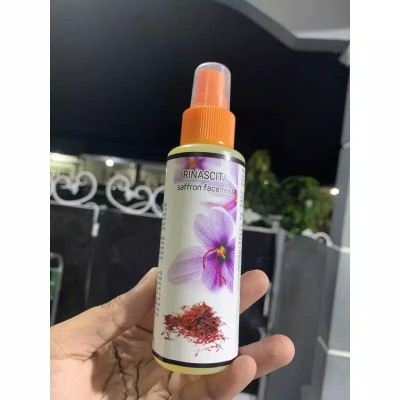 C5 Bunga Aster Gigi/bunga Plastik/daun Rambat Plastik/rumput Plastik/floral Foam/busa Bunga/dekorasi