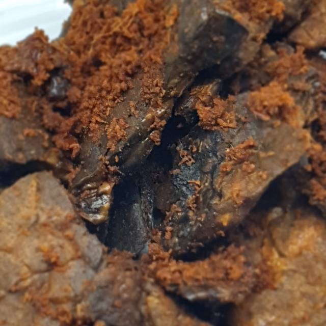

Rendang paru garing