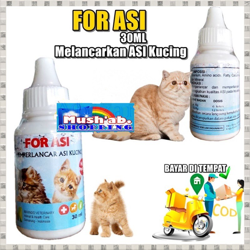 Obat Kucing Vitamin Kucing Suplemen Kucing Melancarkan Produksi ASI Kucing Meningkatkan ASI Kucing