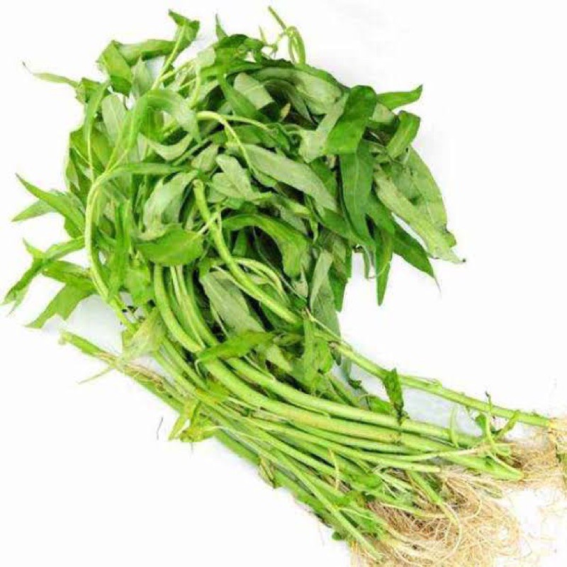 

SAYURHD KANGKUNG PER IKAT SAYURAN SEGAR SAYURAN FRESH
