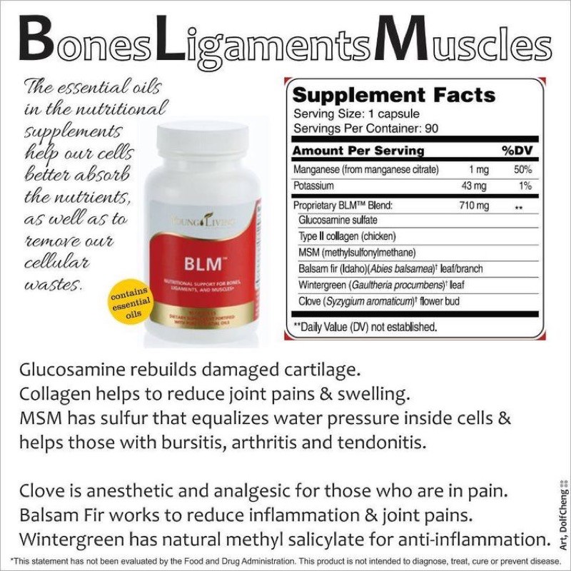 young BLM Joint Support Supplement 90 capsule