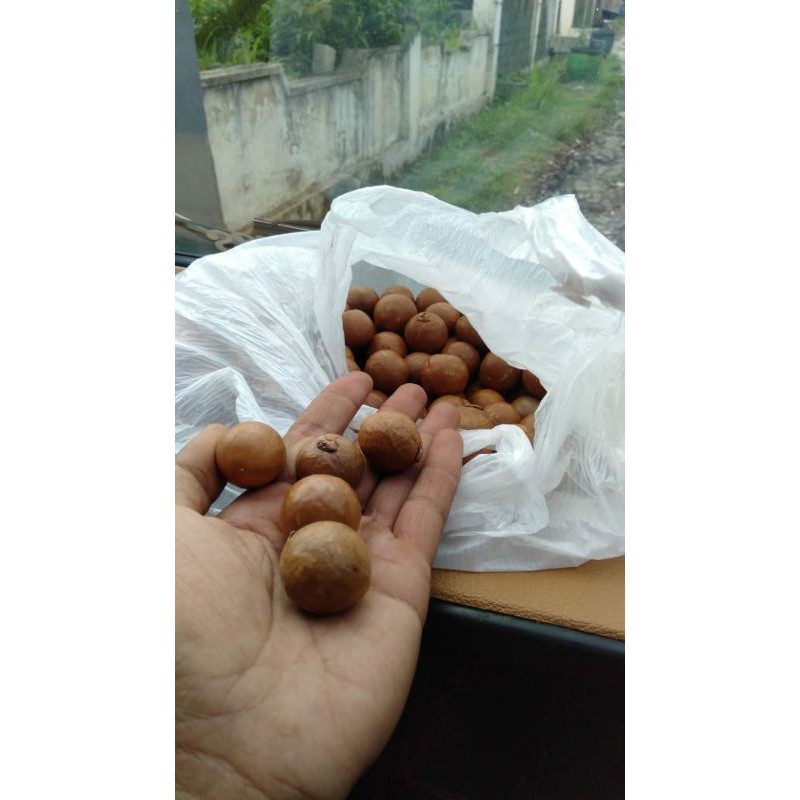 

Kacang macadamia(1kg)