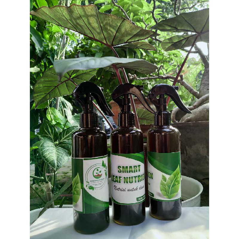 Nutrisi daun dan bunga, pupuk daun, perangsang buah dan bunga,pupuk daun