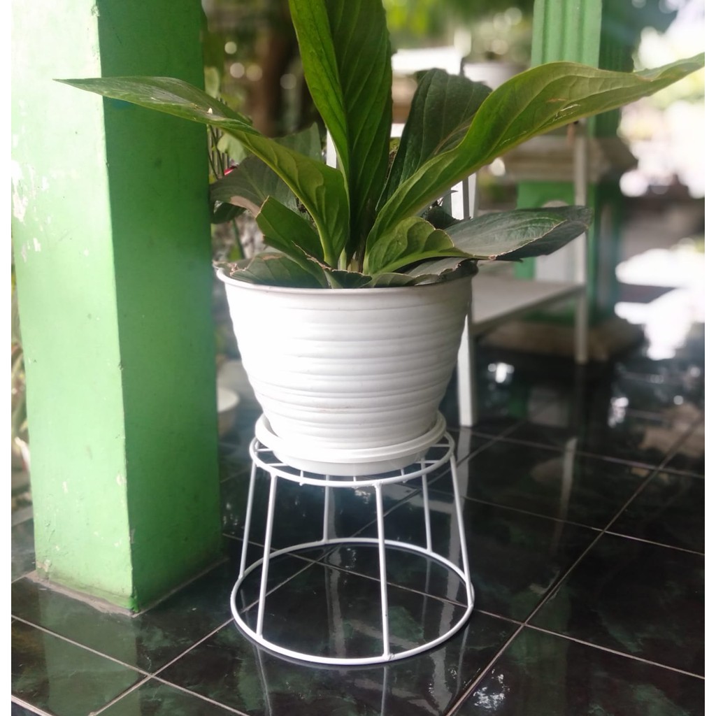 standing pot bulat tatakan | rak bunga besi murah | tatakan pot buat pot besar