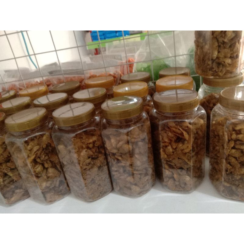 

Baby fish atau anak ikan