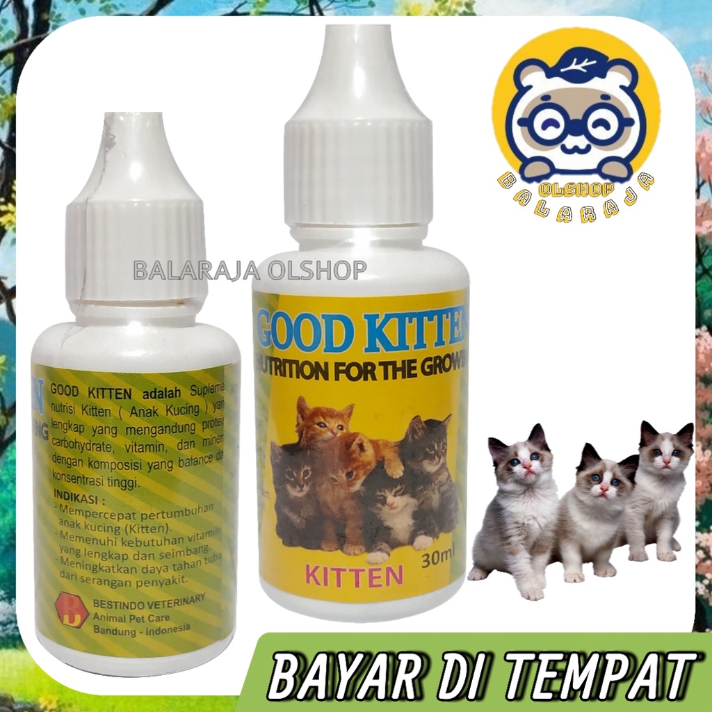 Vitamin Kucing Kitten Anak Kucing Kecil Penambah Nafsu Makan Good Kitten