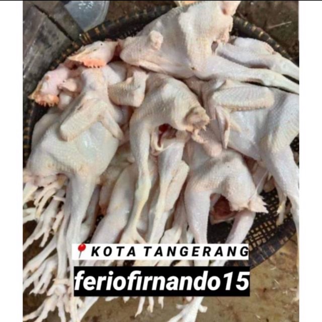 

(PROMO) AYAM PEJANTAN UKURAN 8 ONS BERAT HIDUP