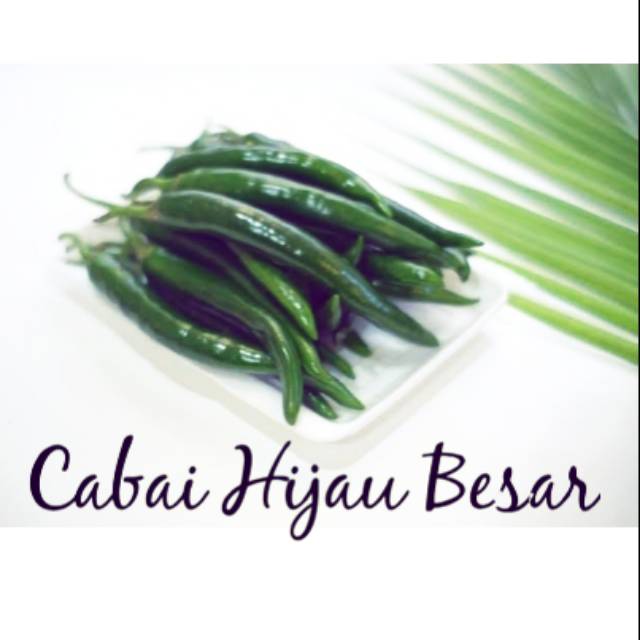 

Cabai Hijau Besar 250 Gram
