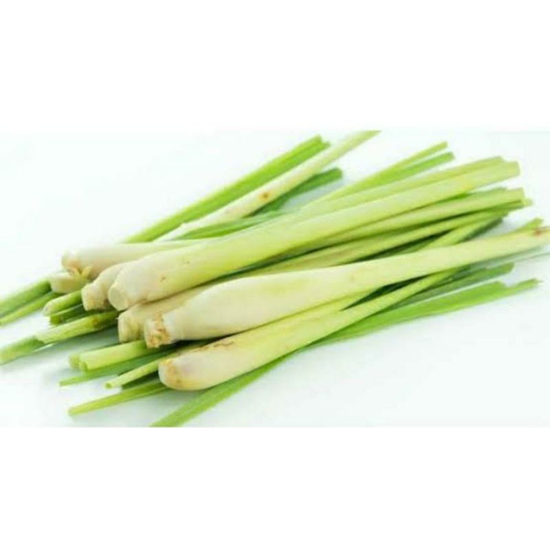 

Serai/Sere Segar 250gr