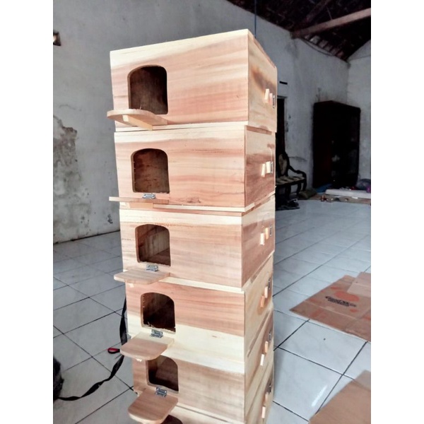 Gupon Merpati Murah Pagupon Burung Dara