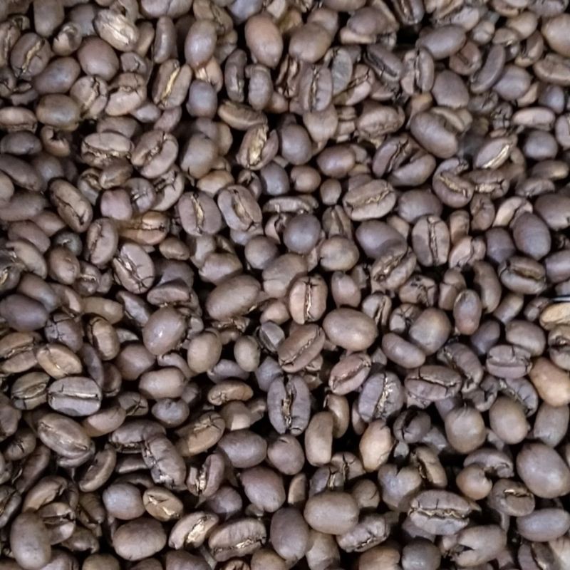 

robustagayocoffe1000gram